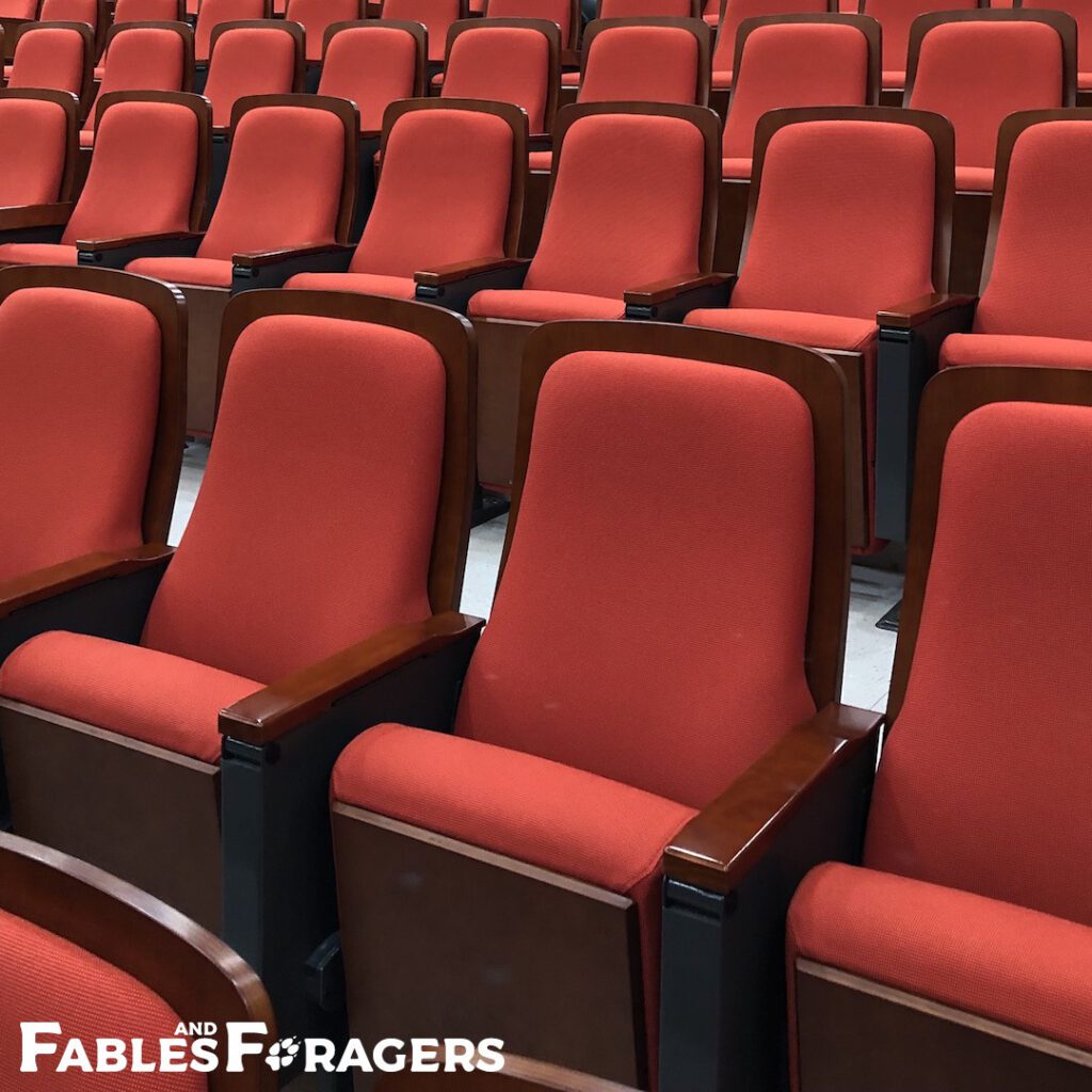 rows of empty chairs in an auditorium