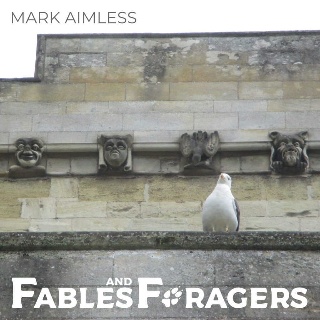 pigeon posing on a castle wall beneath carved figures of comedy, tragedy, a bird, and a monster