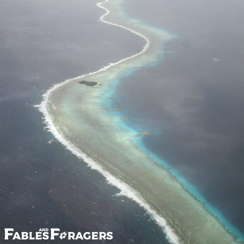 weaving line of an atoll in the Pacific Ocean