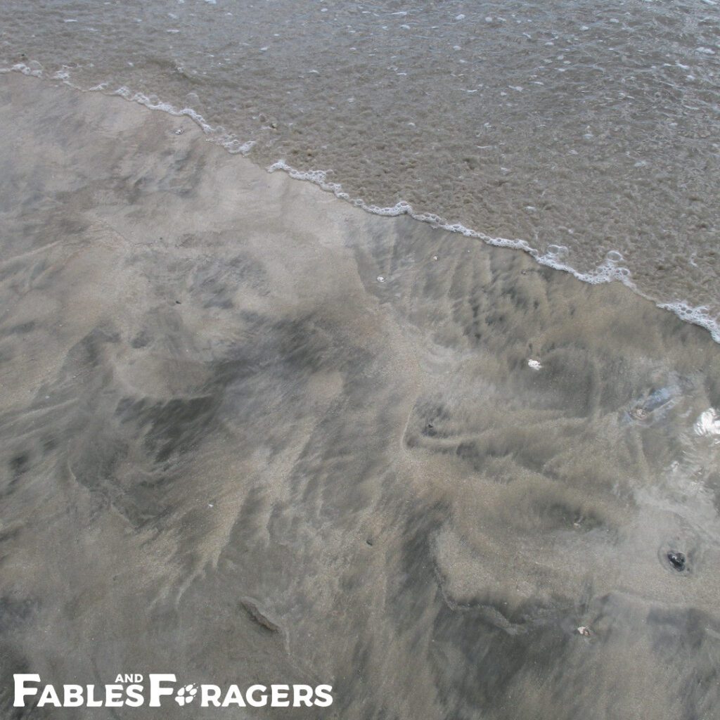 patterns of brown and black sand next to a gentle tide