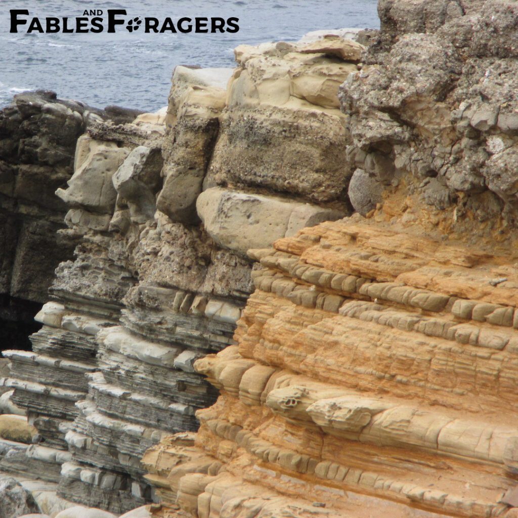 multicolored strata of rock cliffs on a coastline