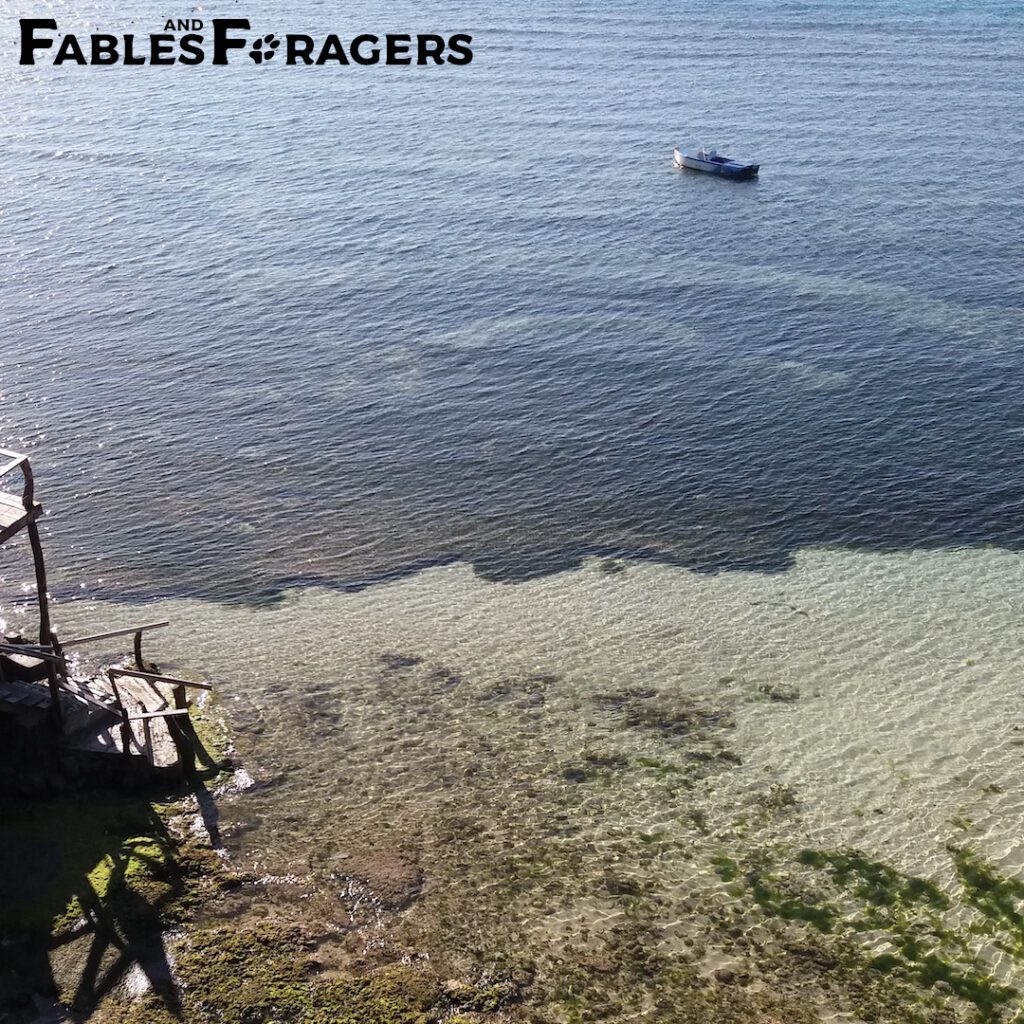 wooden pier with rickety staircase into a shallow seagrass bed