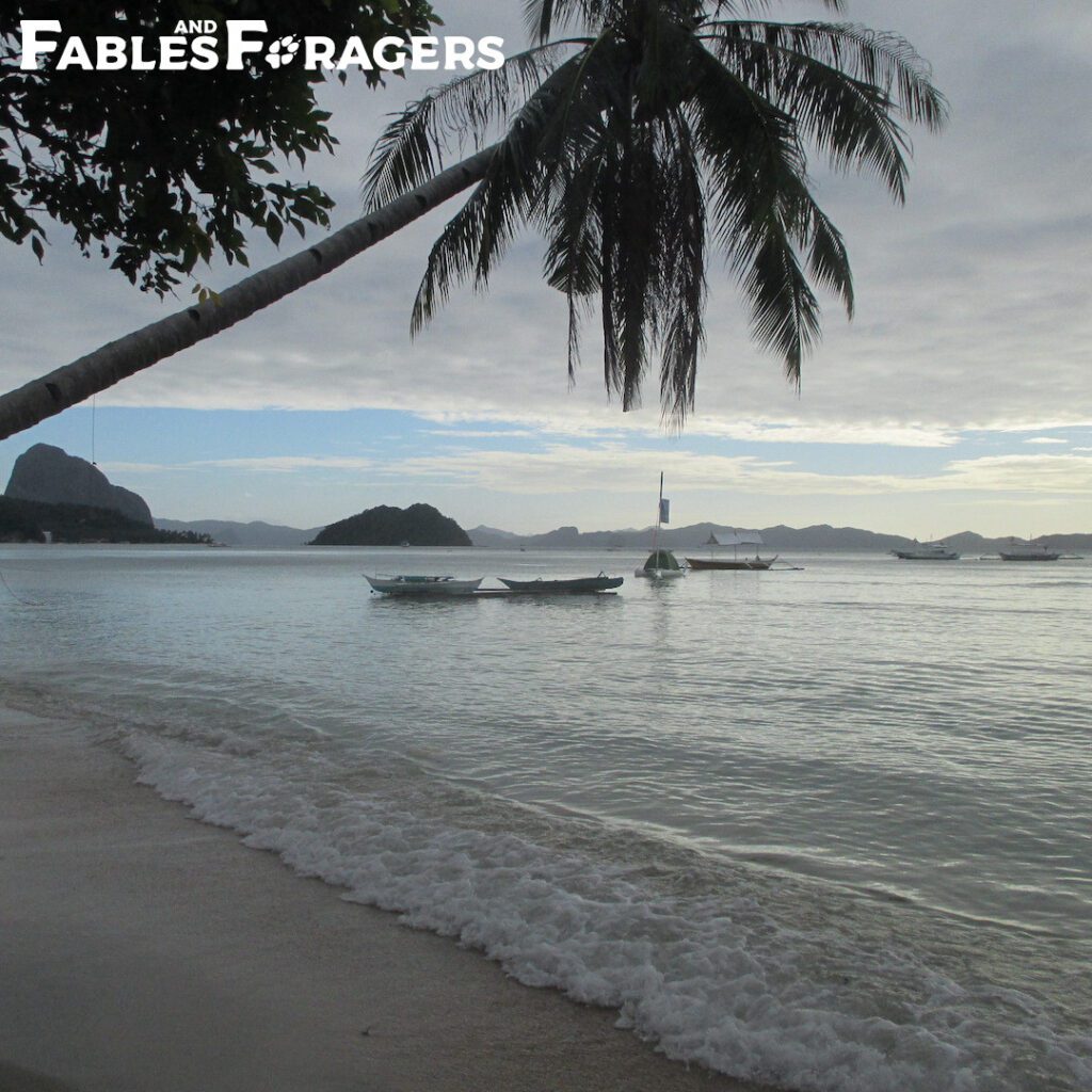 gentle tide rolling into a tropical beach in late afternoon