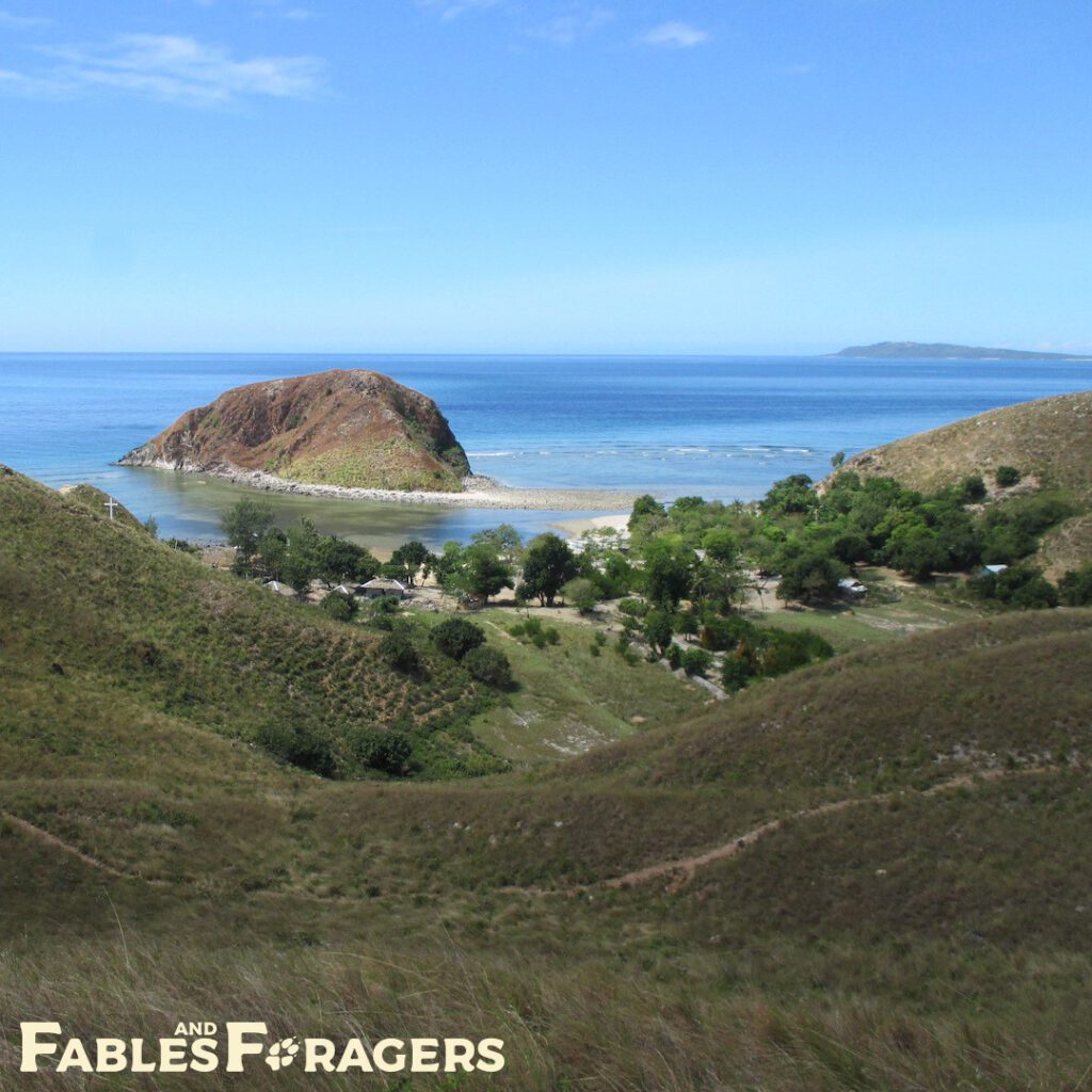 small tree-filled valley on a grassy island with smaller island nearby