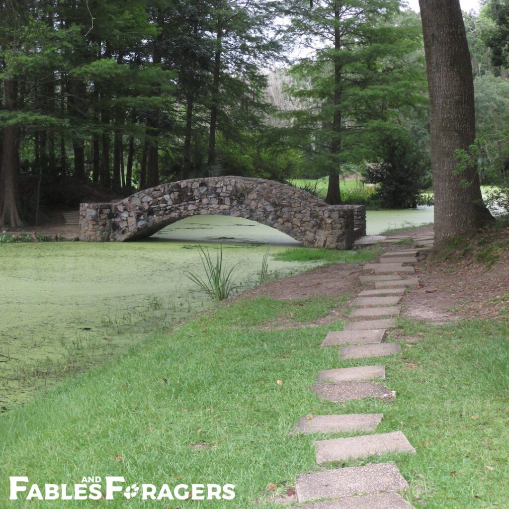 stone pathway through garden with stone bridge over a placid creek