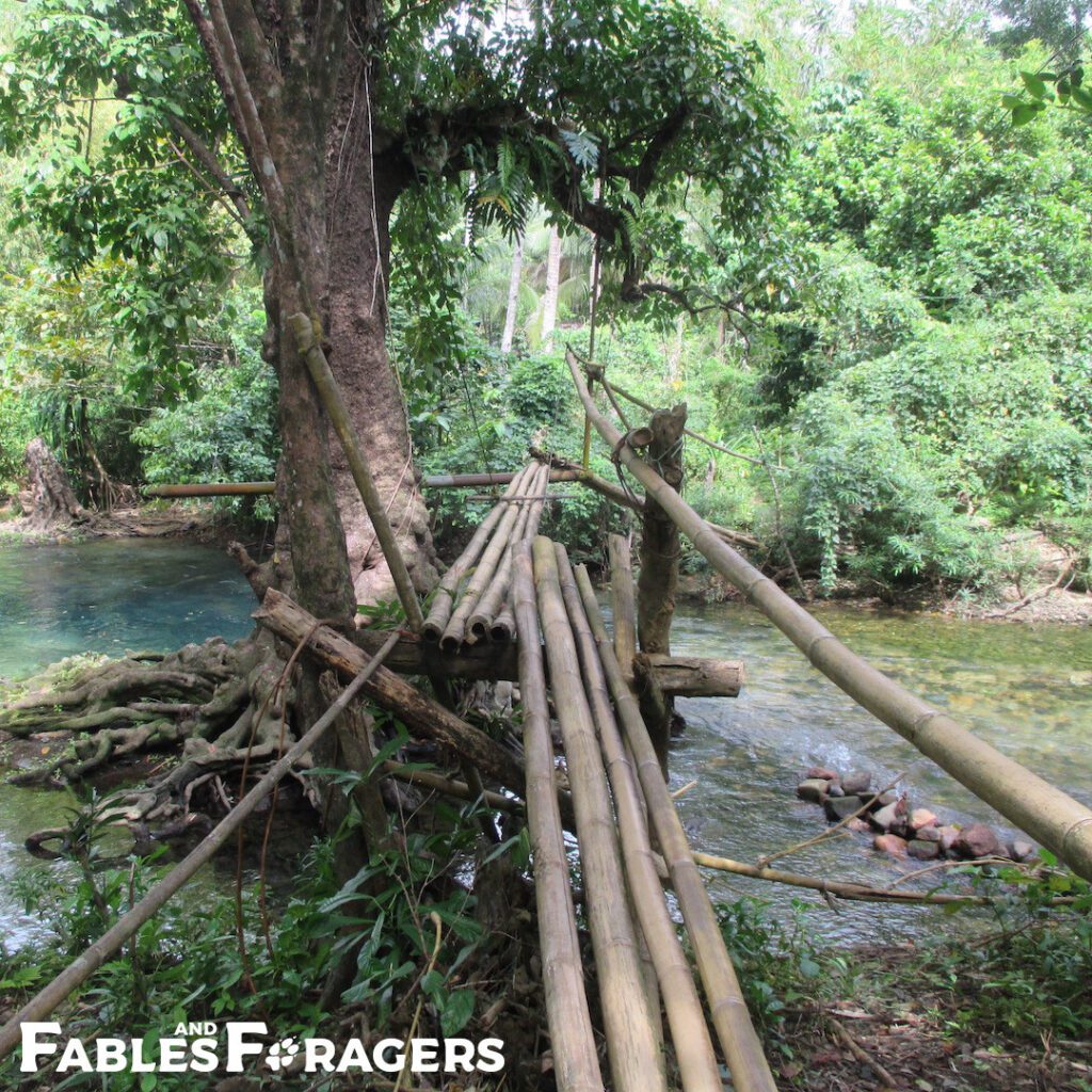 makeshift bridge of bamboo poles across a rippling creek