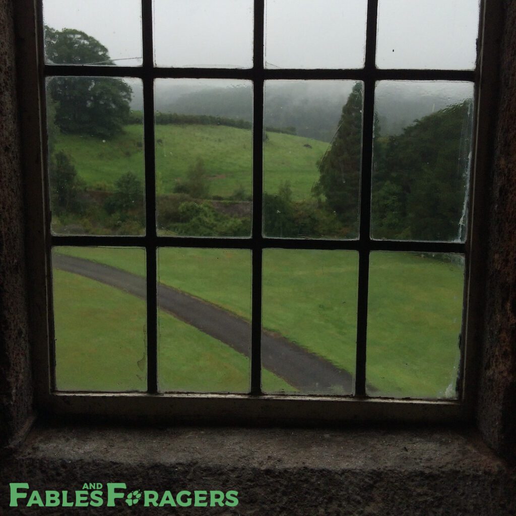 view through an old mansion window onto a path through green hills