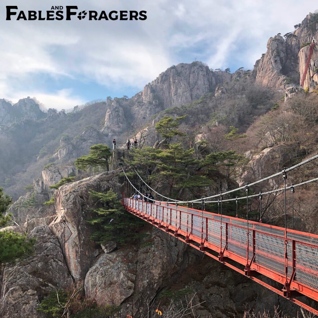 iron bridge across a chasm on a craggy mountainside